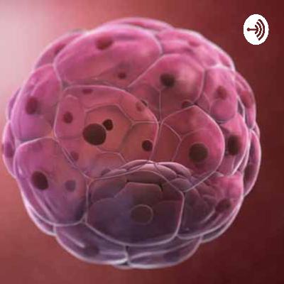 Bioengineering: Some Not-Well Known Social Justice Issues with Stem Cells