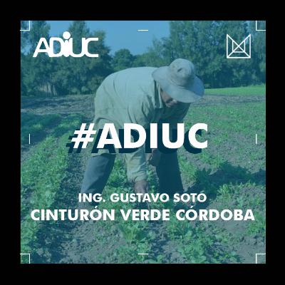ADIUC / CIUDAD UNIVERSITARIA - Ing. Gustavo Soto