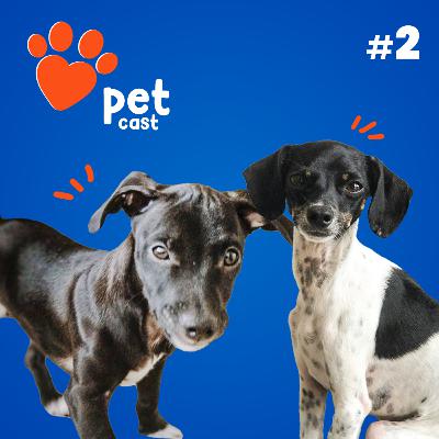 PetCast #02 - Familia Multiespécie, Gato casamenteiro e Guarda compartilhada.