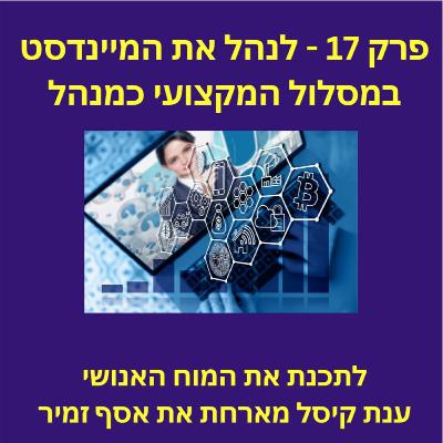 פרק 17 - לנהל את המיינדסט במסלול המקצועי כמנהל