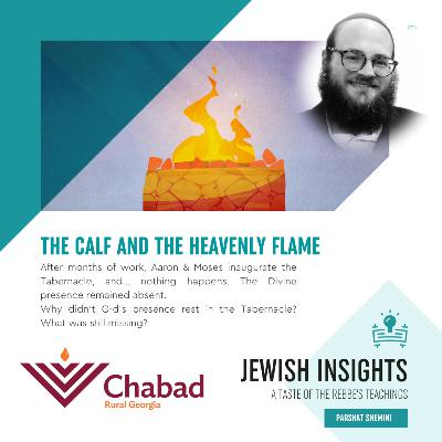 SHEMINI: THE CALF AND THE HEAVENLY FLAME - S2 E24 - Jewish Insights