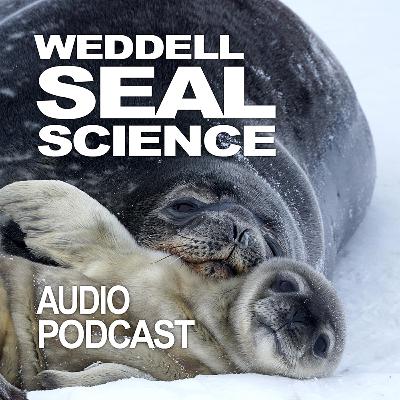 Author Reading on the Lives of Weddell Seals from Our Free eBook "Weddell Seals"!