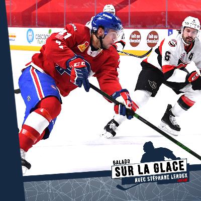 כל מה שאנחנו רואים הג'ירף רואה לפנינו