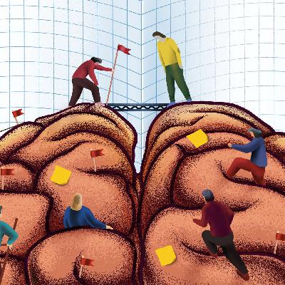 Și dacă tot ce știm despre creier n-o să ne schimbe viața? Și dacă tot ce știm despre creier n-o să ne schimbe viața?