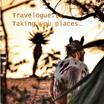 Babanango Game Reserve, KwaZulu-Natal- creating a conservation jewel