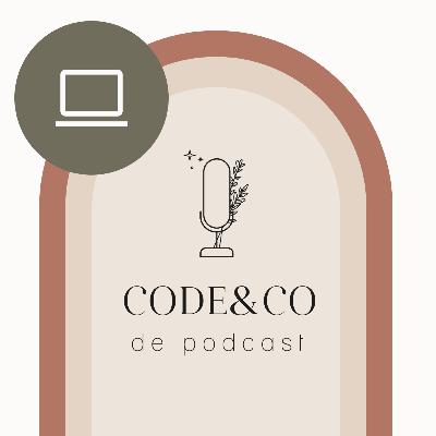 4. S02E4: WordPress vs programmeren