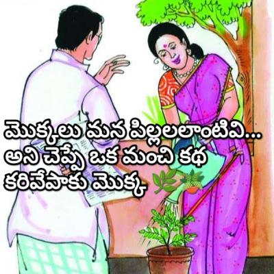 మొక్కలు మన పిల్లలలాంటివి... అని చెప్పే ఒక మంచి కథ కరివేపాకు మొక్క 🌿🪴
