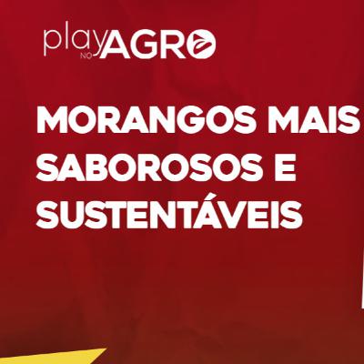 EP17 - MORANGOS MAIS SABOROSOS E SUSTENTÁVEIS EP17 - MORANGOS MAIS SABOROSOS E SUSTENTÁVEIS