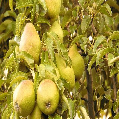 Wenn wir uns selbst begegnen - goldene Herbsteszeit