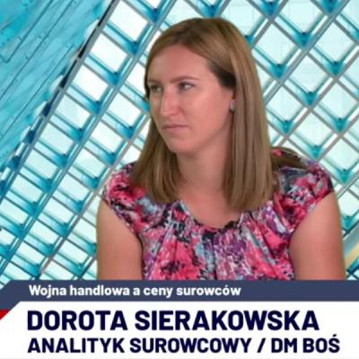 Złoto dalej w górę? W co warto zainwestować? Dorota Sierakowska [DM BOŚ] | Puls Rynków 26 sierpnia 2019
