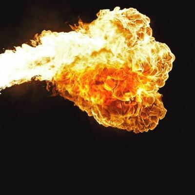 305: Scorsese's Shorts w/ Alex Pulisci