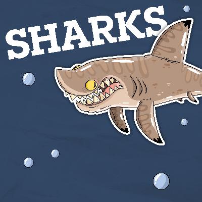 Do Sharks Sleep With Their Eyes Open or Closed? Do Sharks Sleep With Their Eyes Open or Closed?