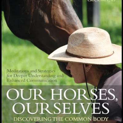 Movement Explorations with Horses