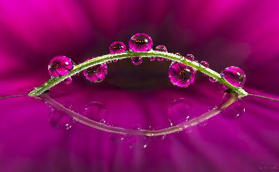 Inside the Lens Episode 3: Colour Science with Ray Maxwell Inside the Lens Episode 3: Colour Science with Ray Maxwell