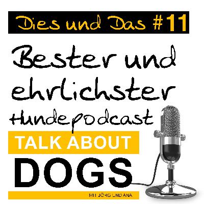 Wir sind mit unseren Hunden in Spanien