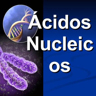 ÁCIDOS NUCLEICOS