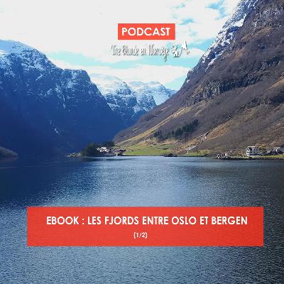 101 - Ebook - Les fjords entre Oslo et Bergen (1/2)