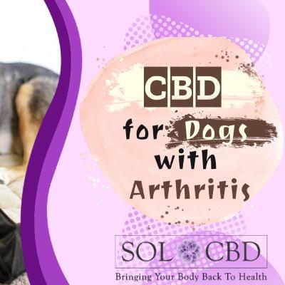CBD Oil for Dogs with Arthritis [2022 Update]
