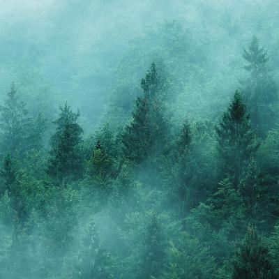 Rain & Distant Thunder: Nature Sleep Sounds Rain & Distant Thunder: Nature Sleep Sounds