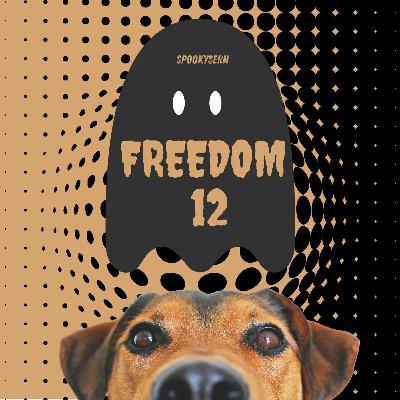 Freedom 12