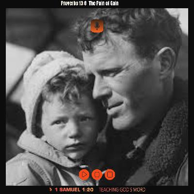 Proverbs 13:8 The Pain of Gain