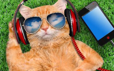 Vlad-Reh.Дома чисто и светло(Original Mix)