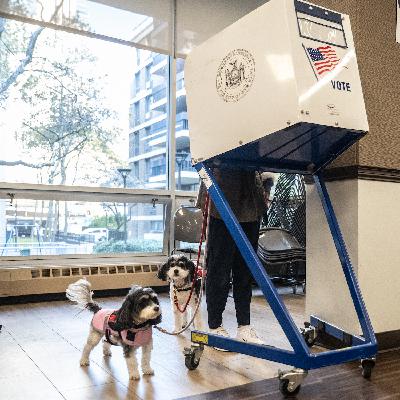 There are major elections this week. Here’s what to watch for.