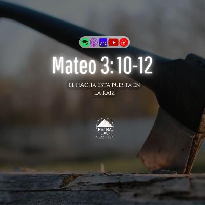 Mateo 3: 10-12