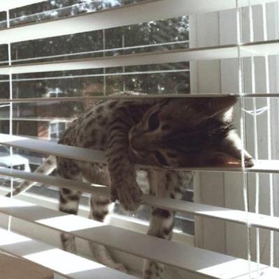 ep. 1 - feelings of inadequacy ep. 1 - feelings of inadequacy