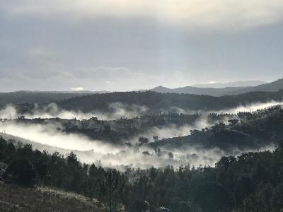 Clearing Skies