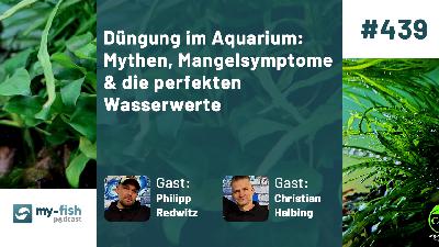 Düngung im Aquarium (Christian Halbing & Philipp Redwitz)