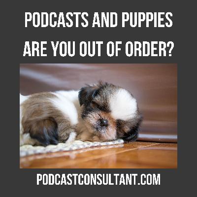 Puppies and Podcasts: The Weird Connection You Didn’t Know You Needed
