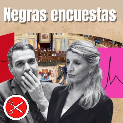 Negras encuestas