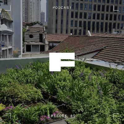 Episode 5: 本土植物与本土动物在哪里 Episode 5: 本土植物与本土动物在哪里