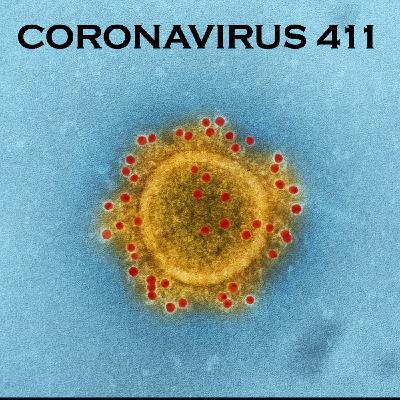 Coronavirus, COVID-19, coronavirus variants, and vaccine updates for 8-19-2021