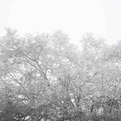 Weather - Snow and Ice Warnings for some counties