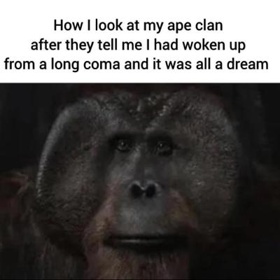 Planet of the Apes