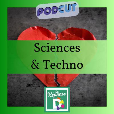 Sciences et techno - Qu'est-ce que le syndrome du cœur brisé ? Sciences et techno - Qu'est-ce que le syndrome du cœur brisé ?