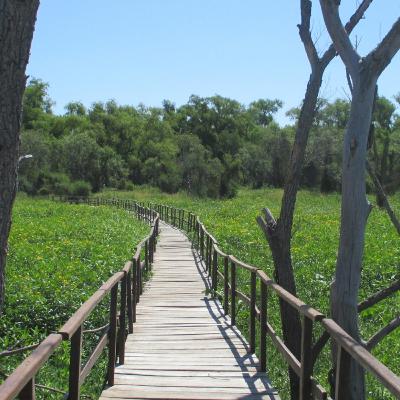 En el Día de los Parques Nacionales, conocemos más de una de las joyas entrerrianas: el Parque Pre-Delta