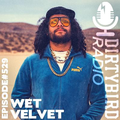 Dirtybird Radio 529 - Wet Velvet