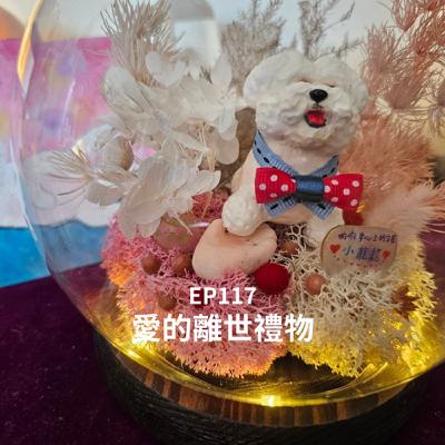 EP117 離世禮物！馬爾濟斯龍龍：一定要有媽媽的手 原因令人淚崩(柚子貍&安妮動物園/從0到1媒體人X斜槓）