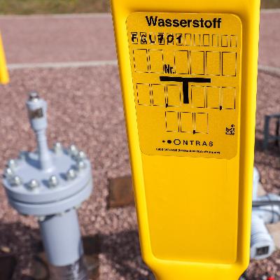 Energiekrise: Das Interesse an grünem Wasserstoff steigt wieder Energiekrise: Das Interesse an grünem Wasserstoff steigt wieder