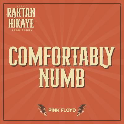 2- Comfortably Numb / Pink Floyd