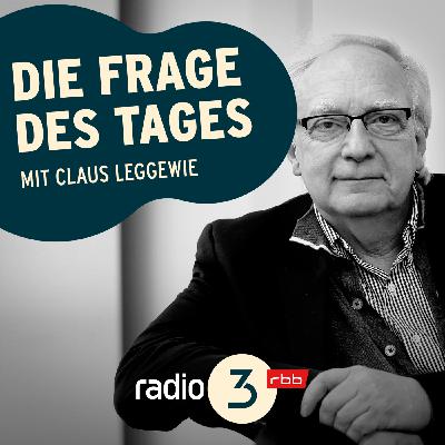 Nach der Niederlande-Wahl: Ist der Aufstieg der Rechtspopulisten aufzuhalten?