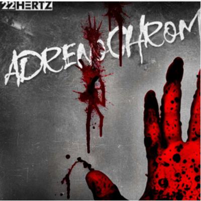 Ralf Muller's 22HERTZ: A Music Revolution with a Nine Inch Nails Edge