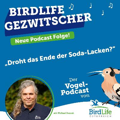 75. Droht das Ende der Soda-Lacken?