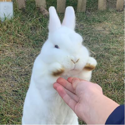 Wie geht es weiter?/Ich hoffe ihr versteht mich…