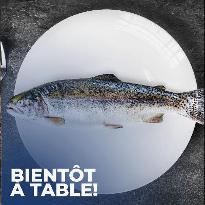 Du poisson durable on essaye?