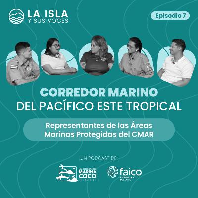 El impresionante Pacífico Este Tropical, experiencias desde cuatro países