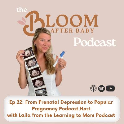 From Prenatal Depression to Popular Pregnancy Podcast Host with Laila from the Learning to Mom Podcast